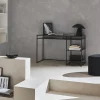Escritorio de metal negro con 2 estanterías, 120cm