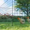 Kit modular de cercado para gallinas