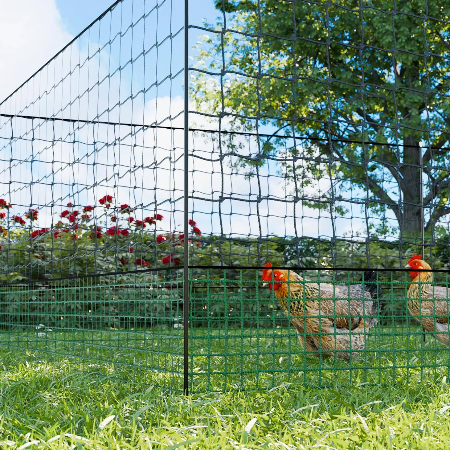Kit modular de cercado para gallinas