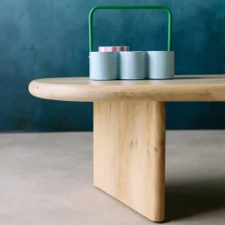 Mesa de centro ovalada de madera de mango maciza