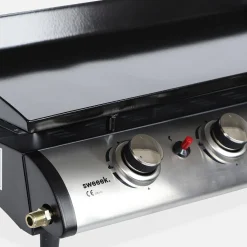 Plancha de gas 4 quemadores de acero inoxidable con utensilios, 10kW