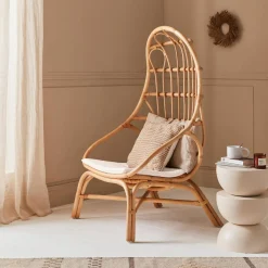Sillón de ratán en forma de huevo con cojín